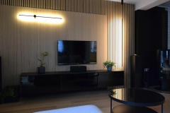 sciana rtv